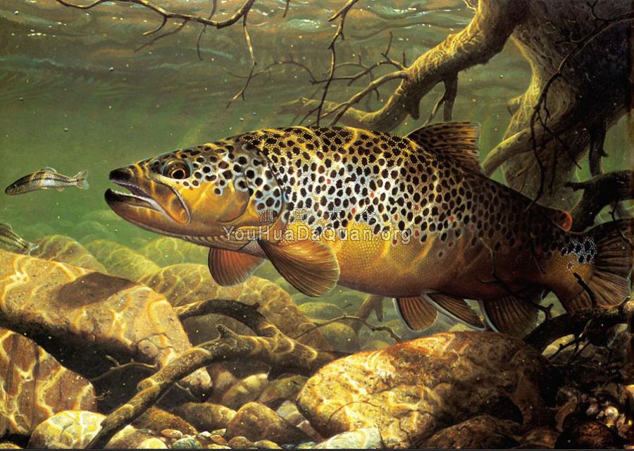 -Unknown - 马克·苏祖尼奥